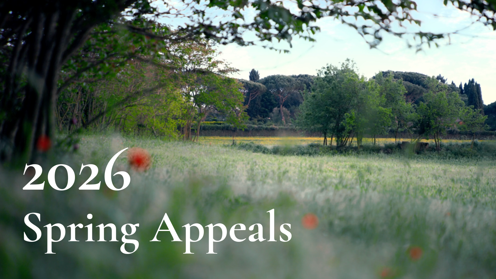 Newsletter Spring Appeals